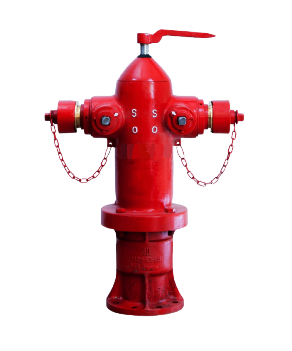 Specialis Instalasi Fire Hydrant System, FM200 Fire Suppression System & Fire Alarm System