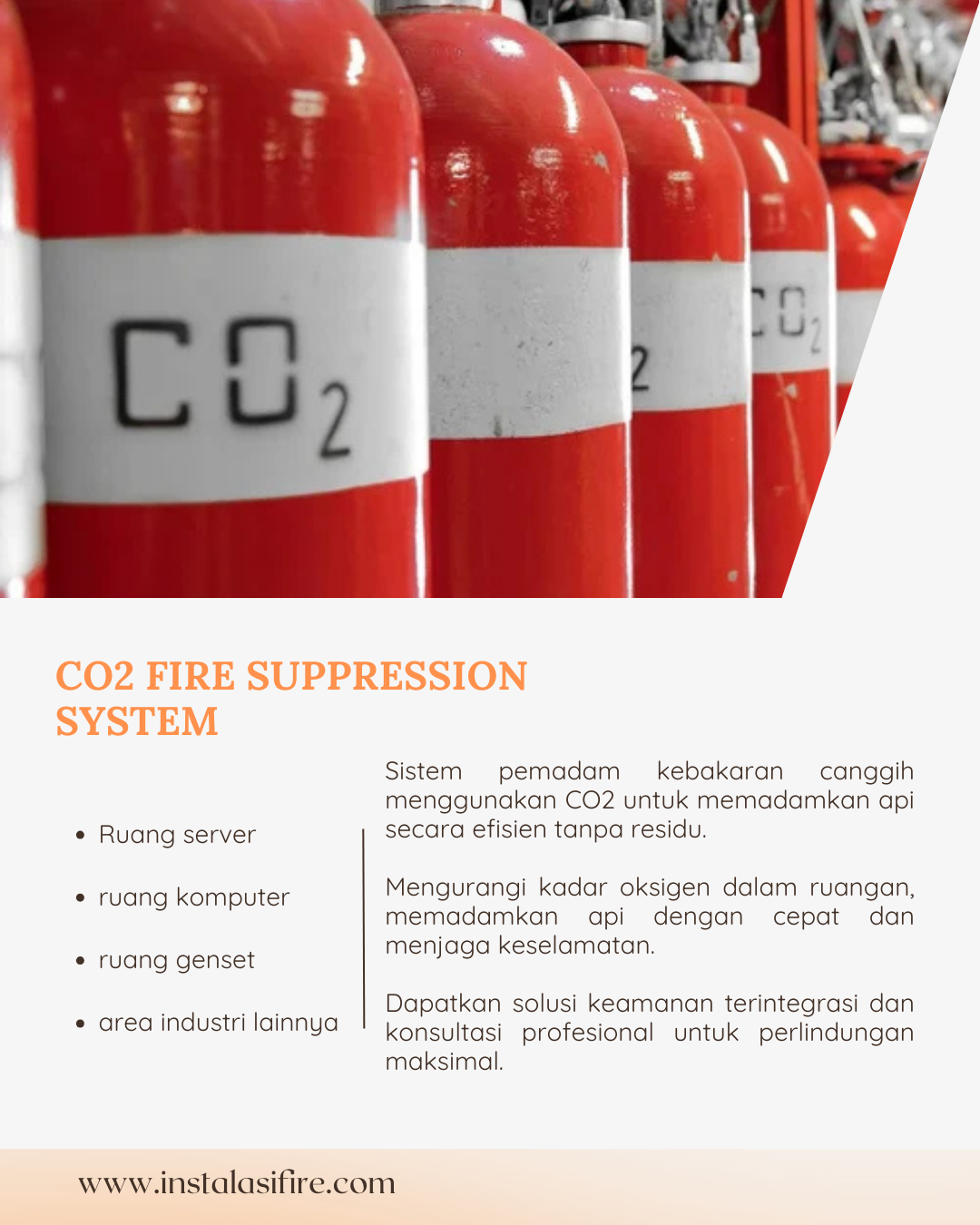 co2-fire suppression system